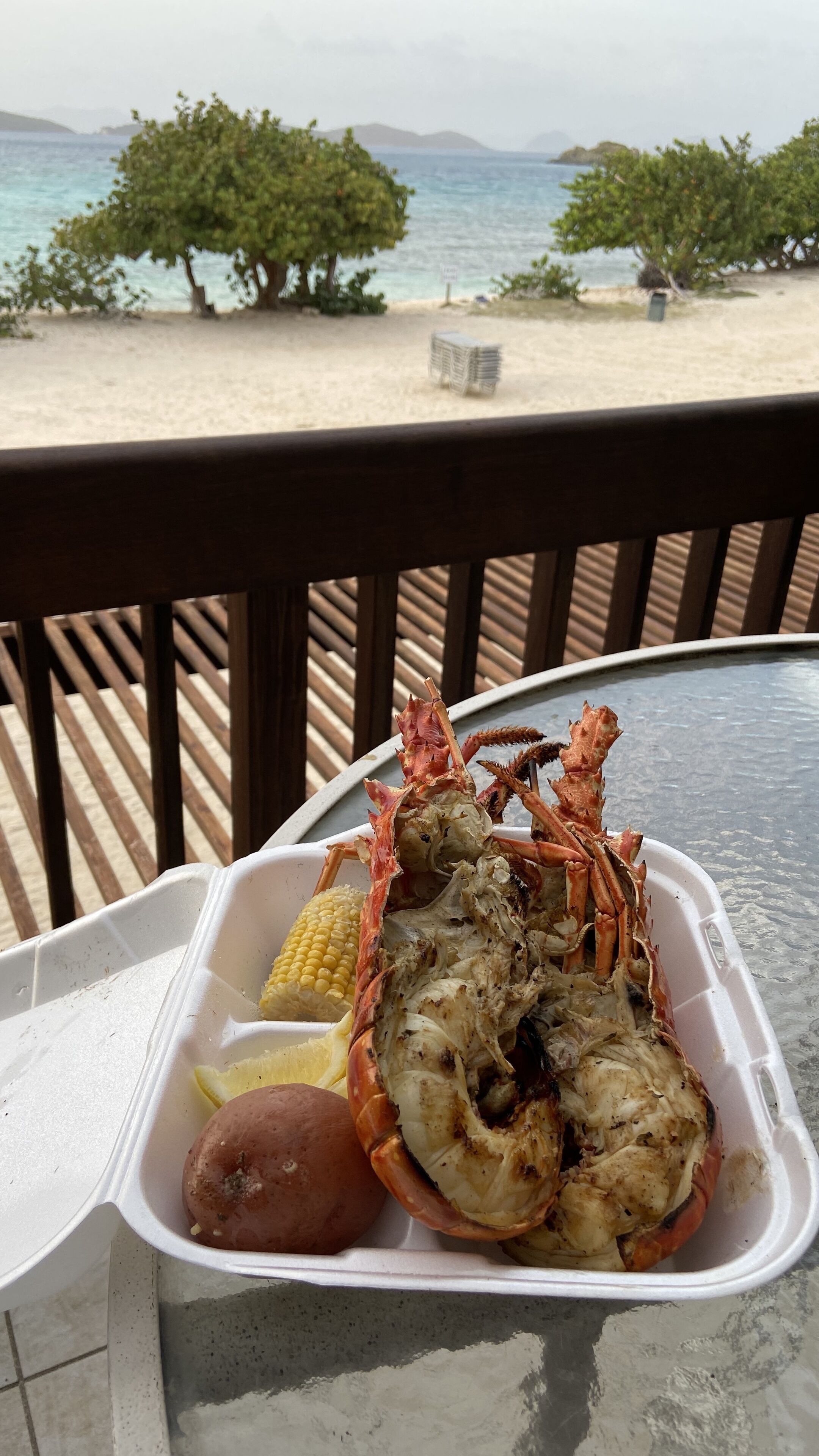 A seafood meal on a table with a view of a beach and trees in the background.