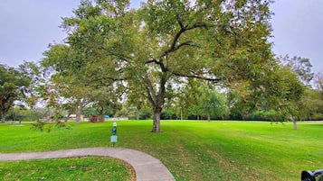 Property grounds