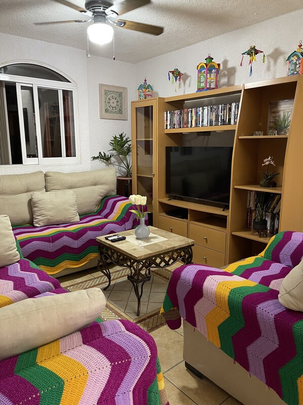 Smart TV, DVD player, books