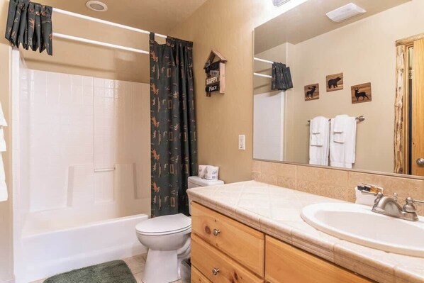 Combined shower/tub, hair dryer, towels, shampoo