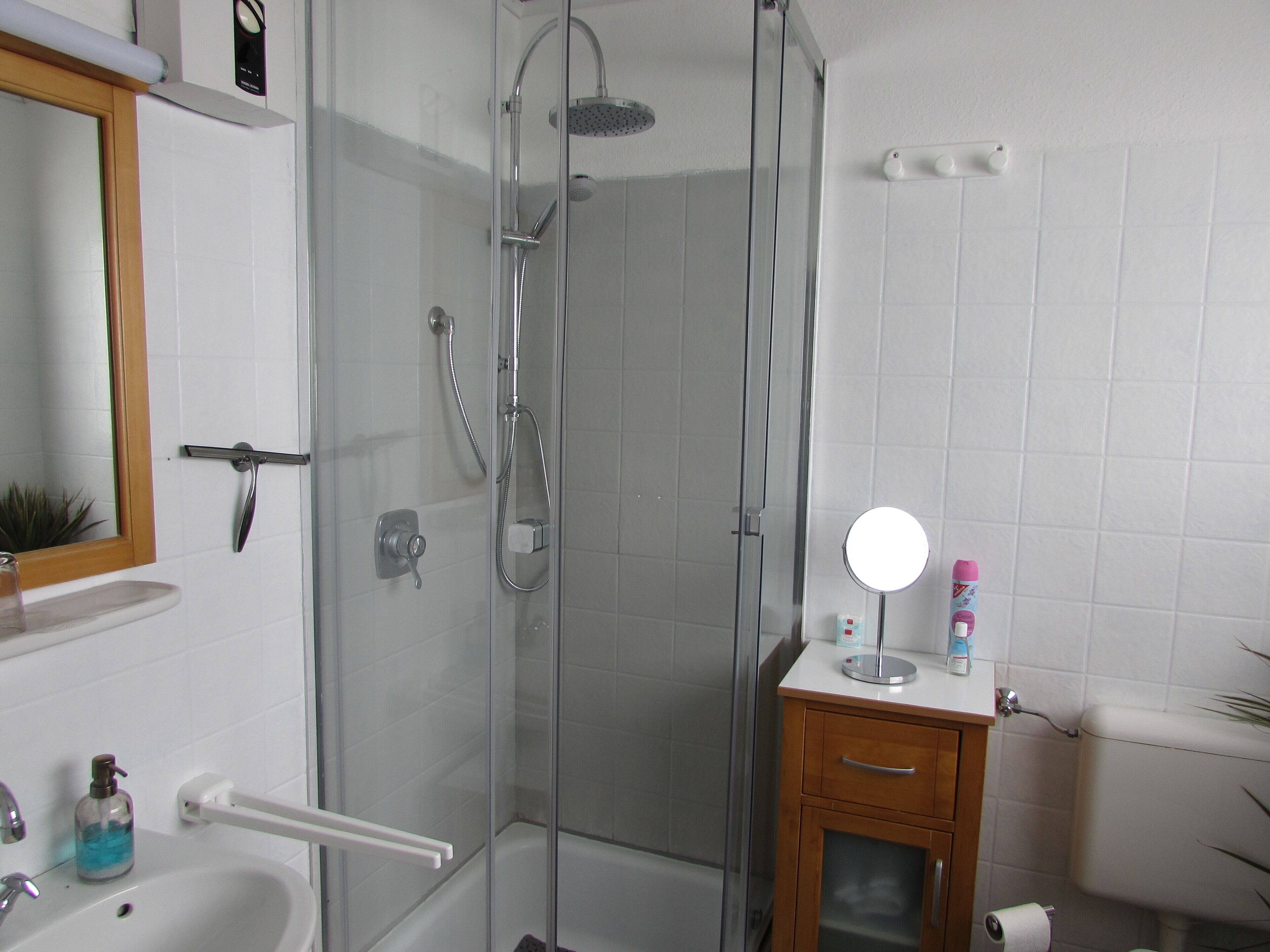 A bathroom with a glass-enclosed shower, a sink, a mirror, and a toilet.
