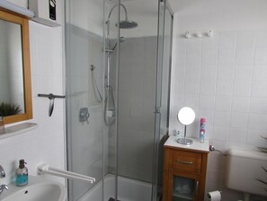 Shower, hair dryer, soap, toilet paper