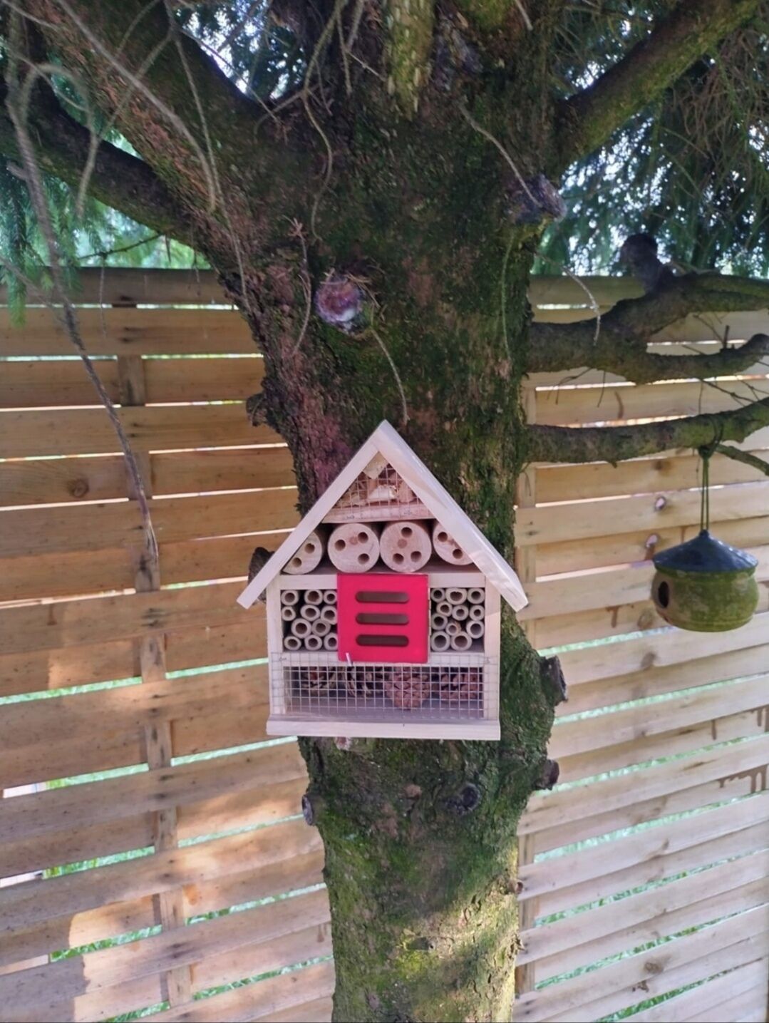 A birdhouse attached to a tree.