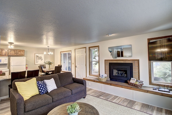 Smart TV, fireplace, books