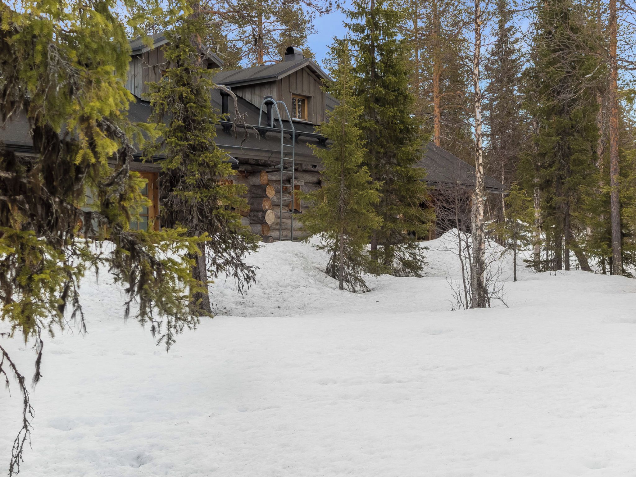 Una cabaña de troncos con revestimiento de madera, rodeada de nieve en el suelo y entre los árboles.