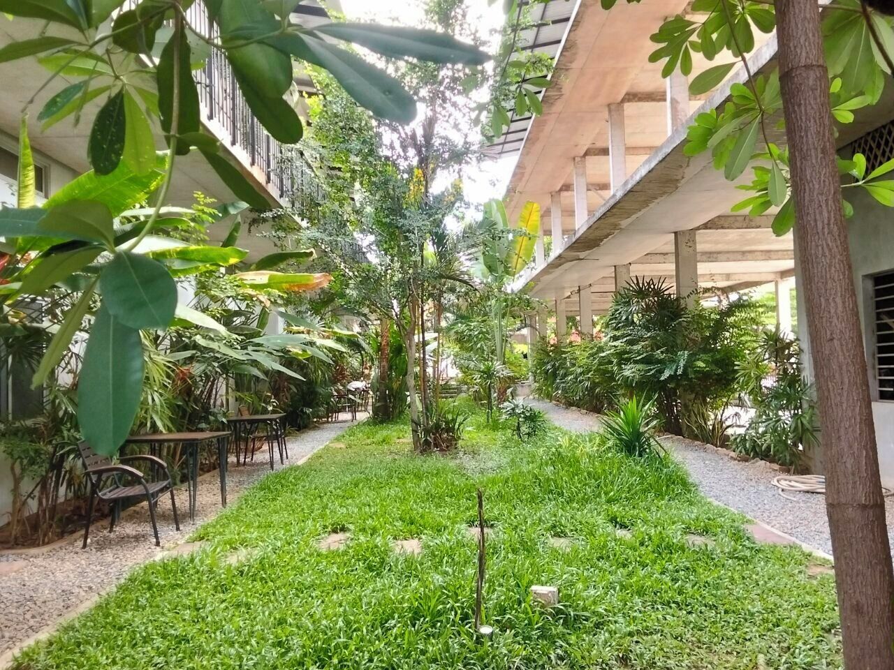 A courtyard with a grassy area, trees, and outdoor seating.