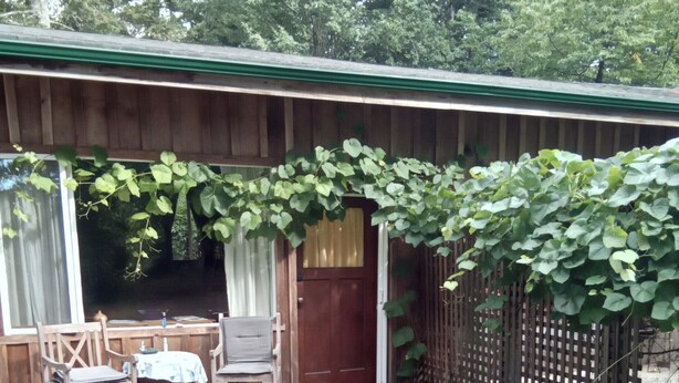 Una cabaña de madera con un porche, dos sillas, una mesa y un espacio cubierto con una puerta.