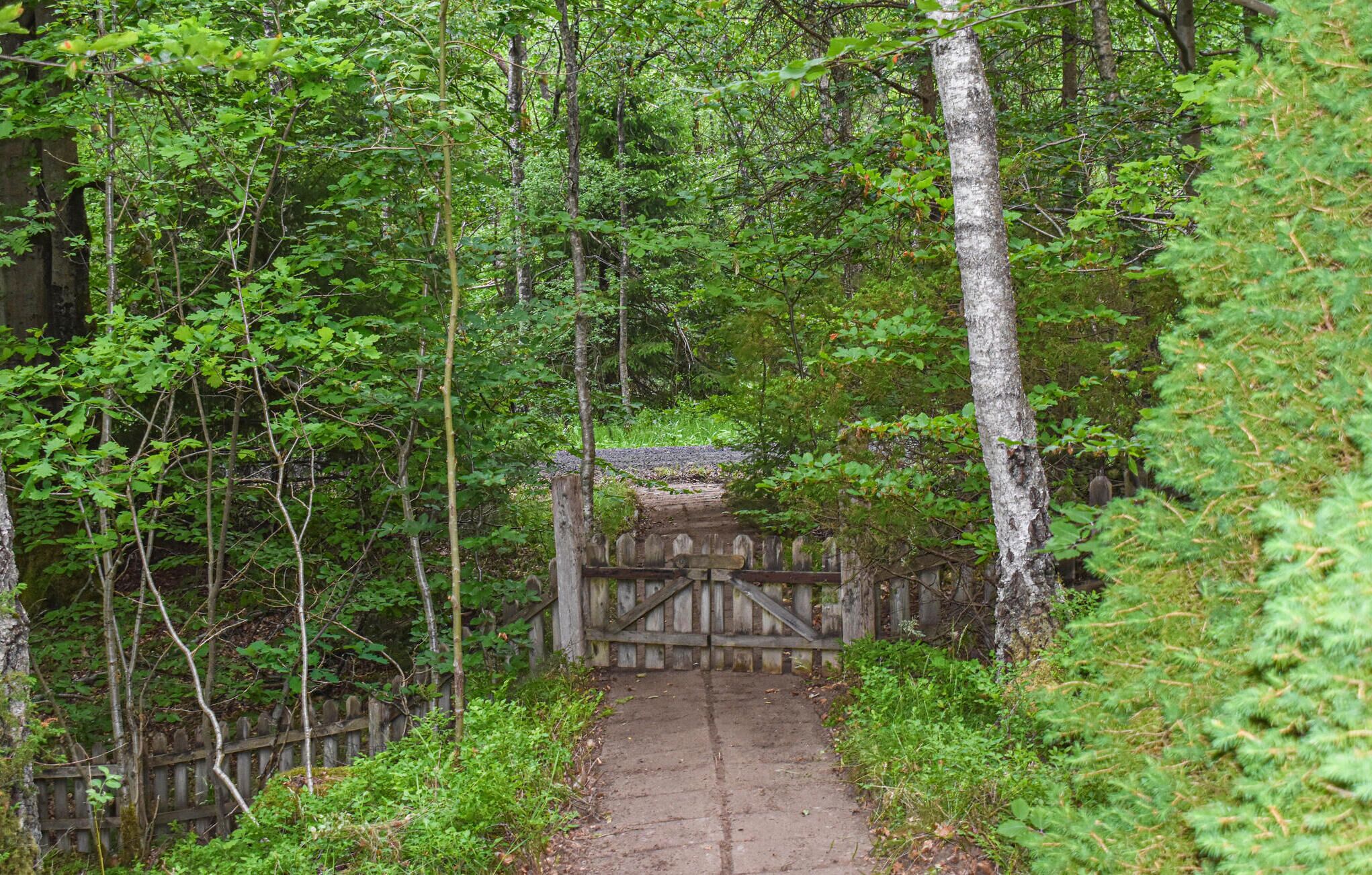 Un sentier bordé d’arbres qui mène à une porte en bois.