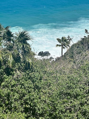A coastal landscape with dense greenery and a view of the ocean. - Scenic Ocean View Villa: Mid-term and Long-Term stays (St Thomas)