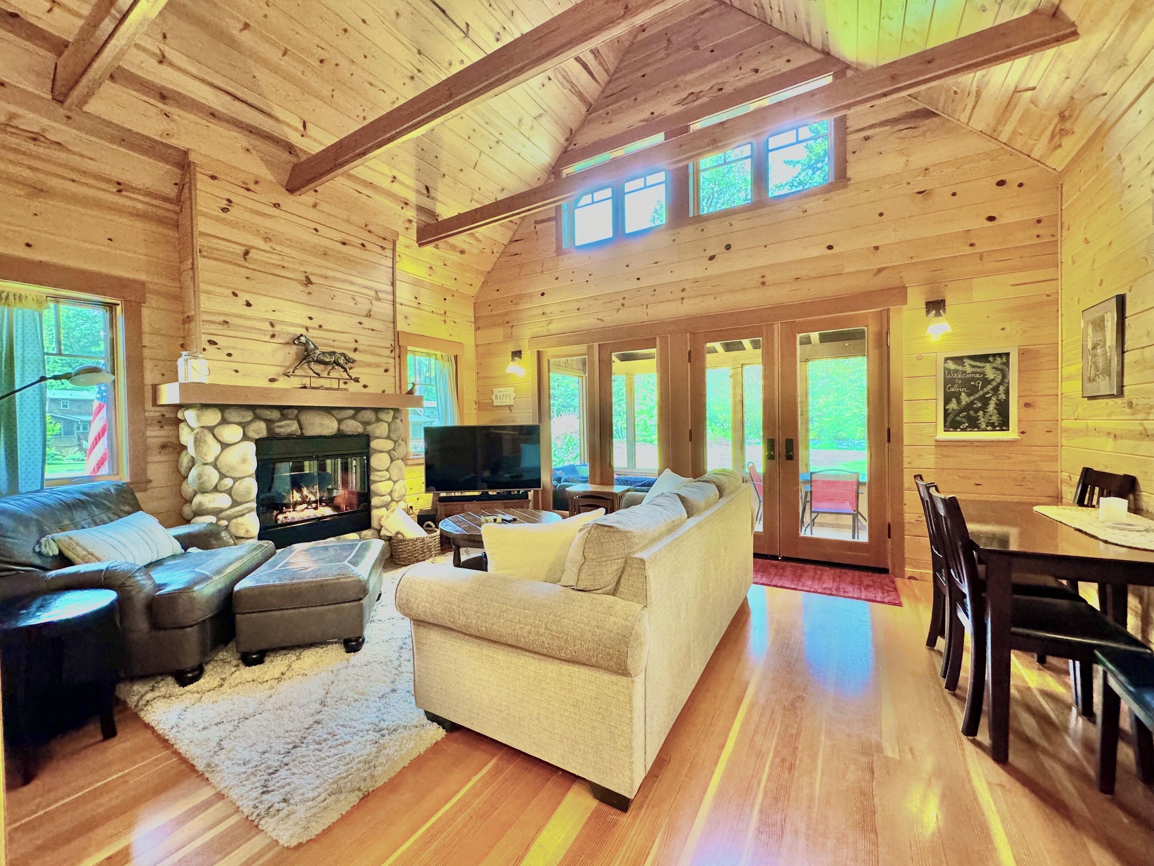 Smart TV, fireplace, books