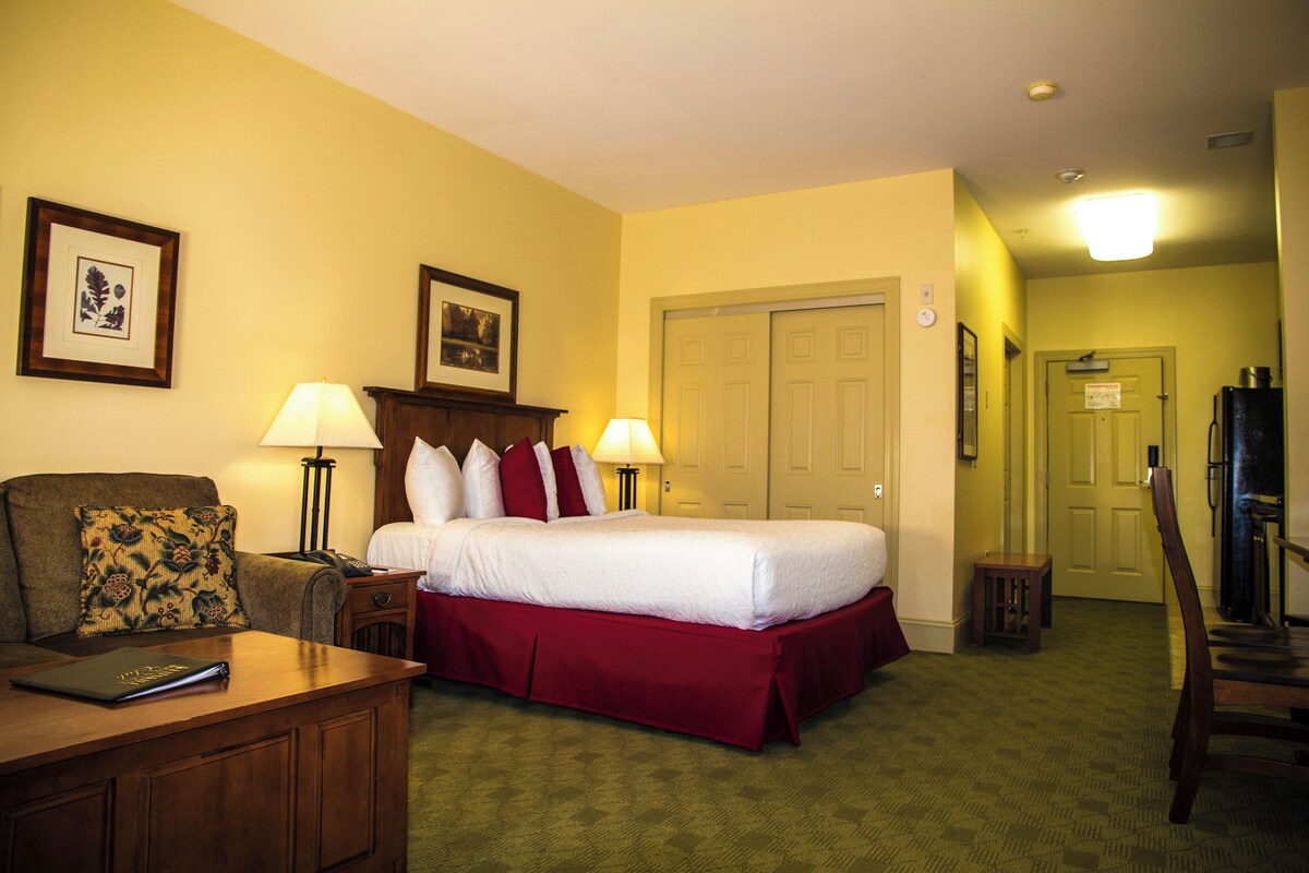 Club Studio (Kaatskill Mountain Deluxe) | Cribs (free), WiFi (free), bed sheets