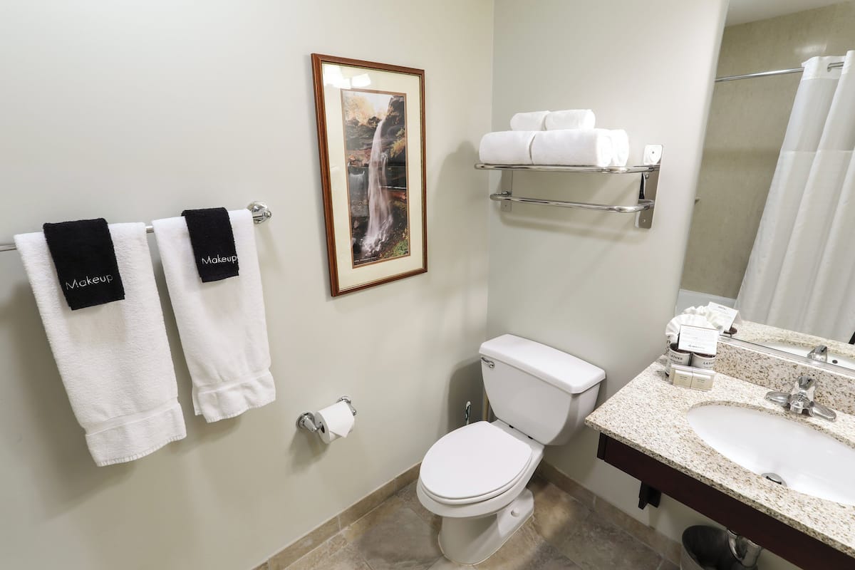 A bathroom with a toilet, sink, and towel rack.