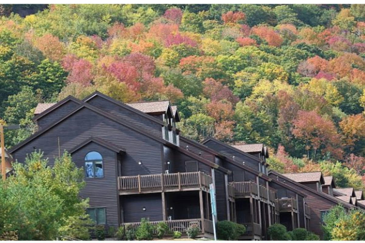 A multi-story building with a dark exterior, multiple balconies, and a view of a forested hillside.