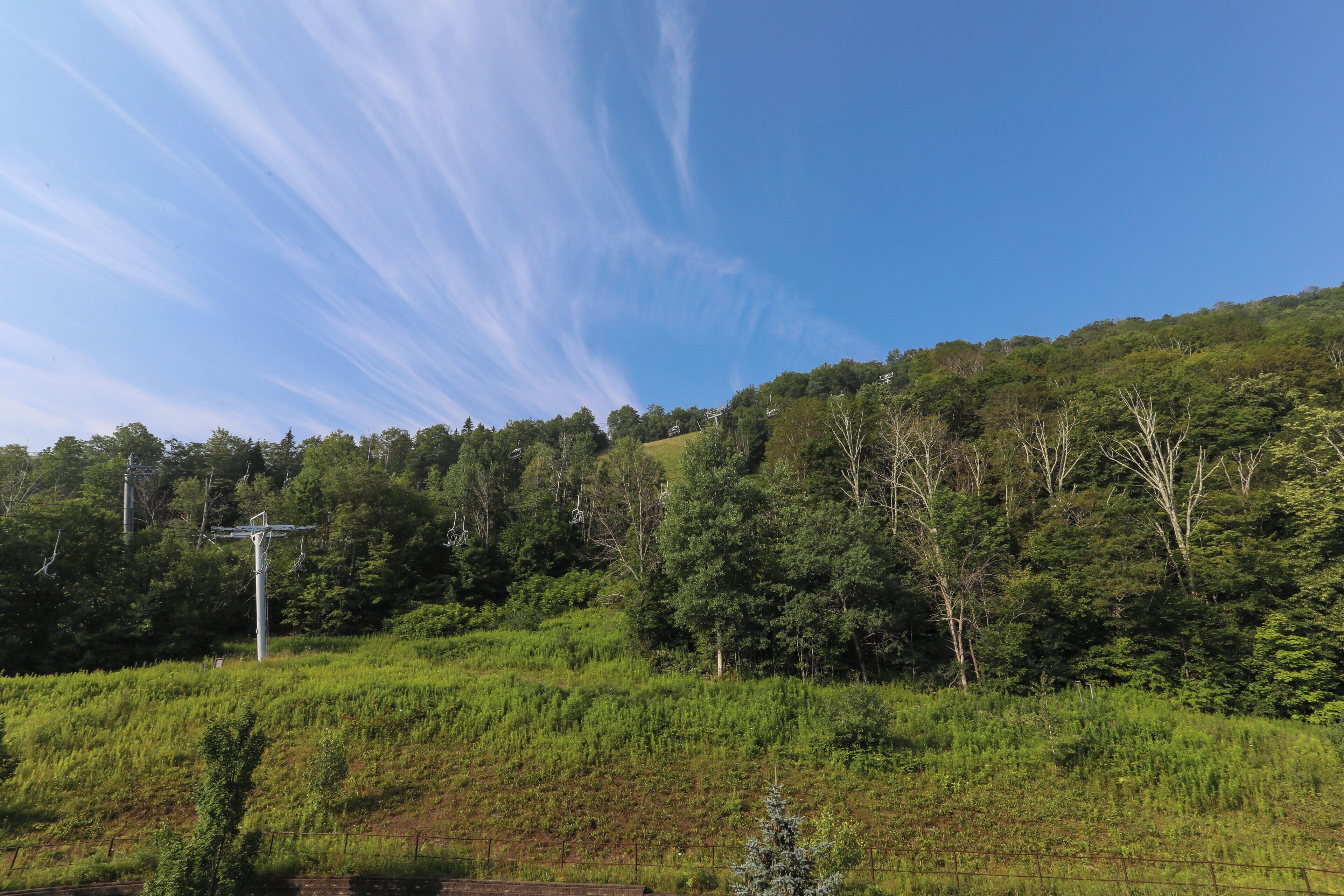 Una ladera verde y exuberante con un cielo azul despejado y una estructura de línea eléctrica.
