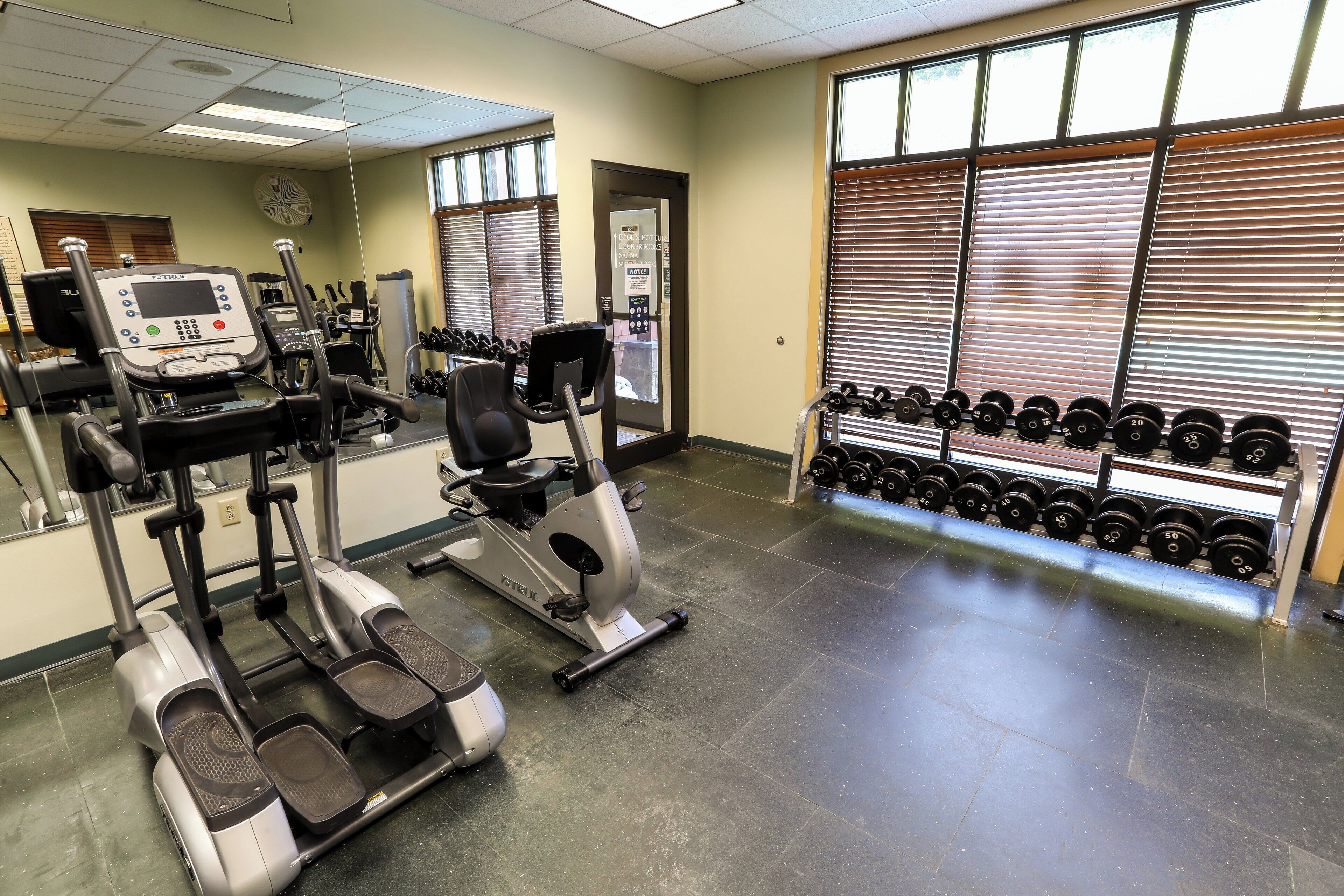 A gym with treadmills, elliptical machines, and a rack of dumbbells.