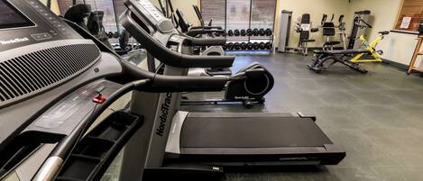A gym with treadmills, dumbbells, and exercise equipment.