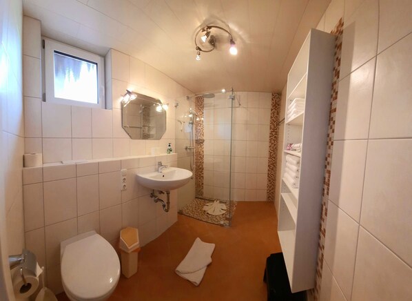 Shower, hair dryer, towels, toilet paper