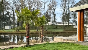 A park with a pond, palm trees, and a gazebo. - Gorgeous home in HEEL with WiFi (HEEL)