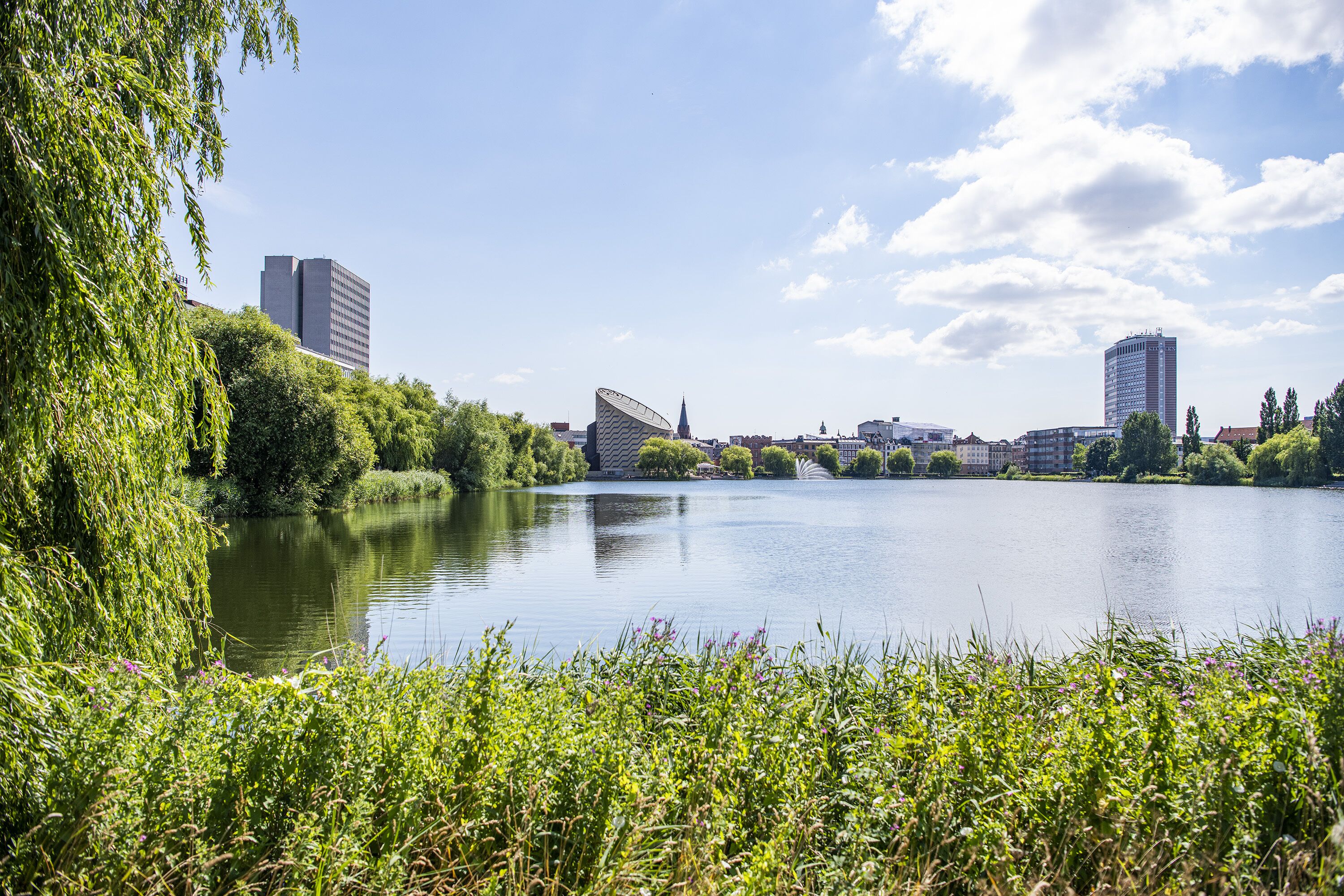 Un río con edificios al fondo, rodeado de vegetación.