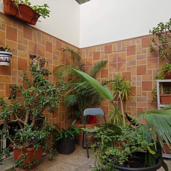 Un pequeño patio resguardado con paredes de baldosas de terracota, diferentes macetas con plantas y una silla plegable.
