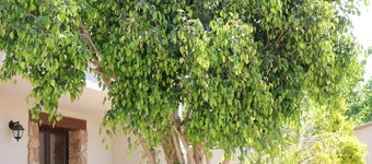 B Holidays Casa Vacanze