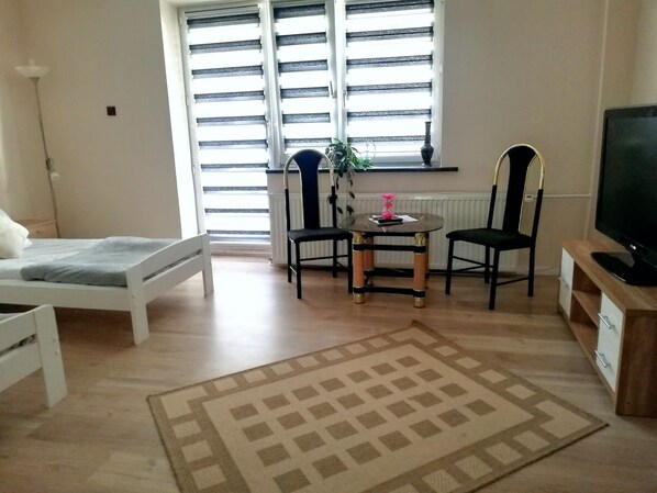 Una habitación pequeña y bien iluminada con una cama, un televisor, dos sillones, una mesita con una planta y una ventana con persianas.