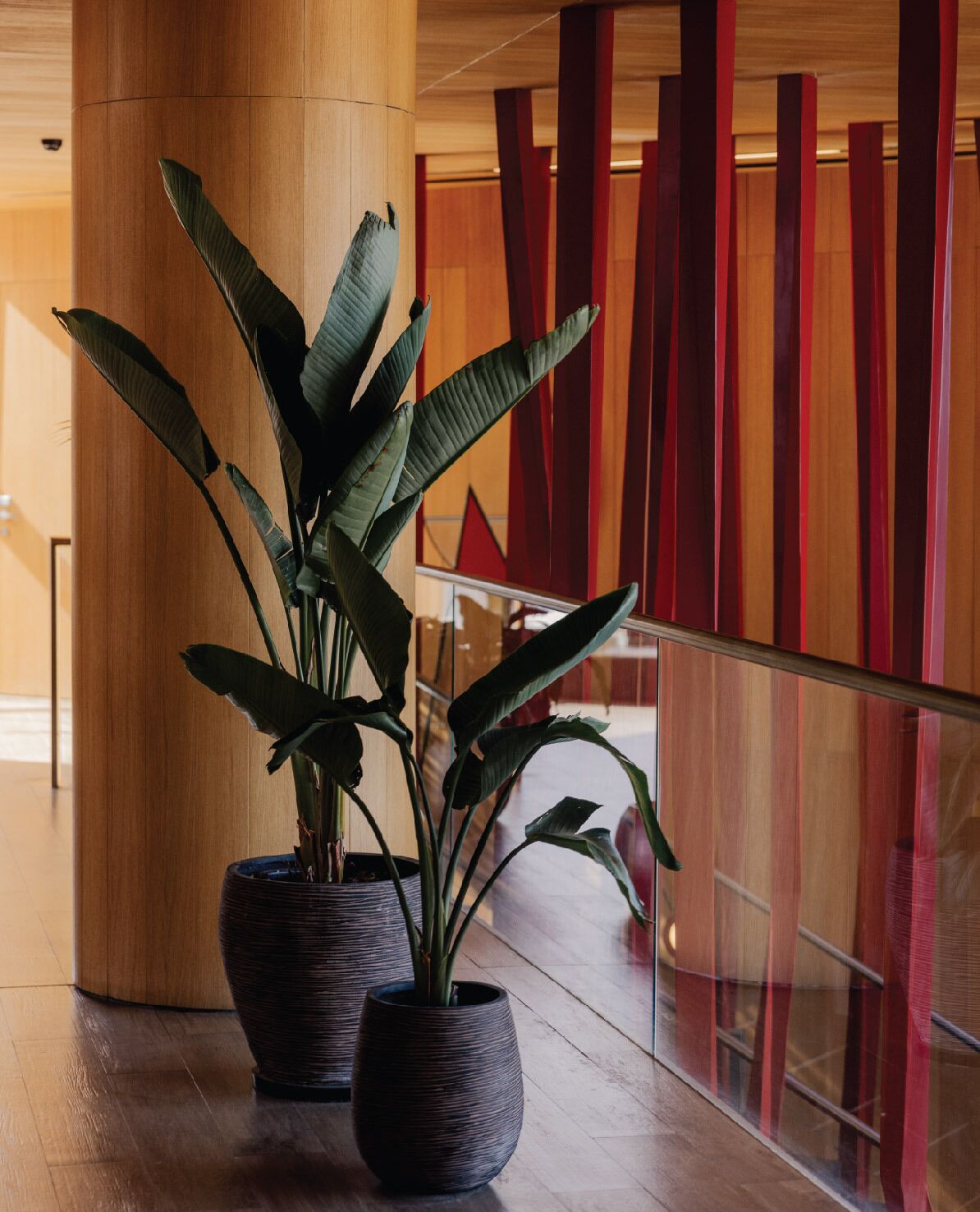 Un interior moderno con dos grandes macetas, columnas de madera y paneles verticales rojos.
