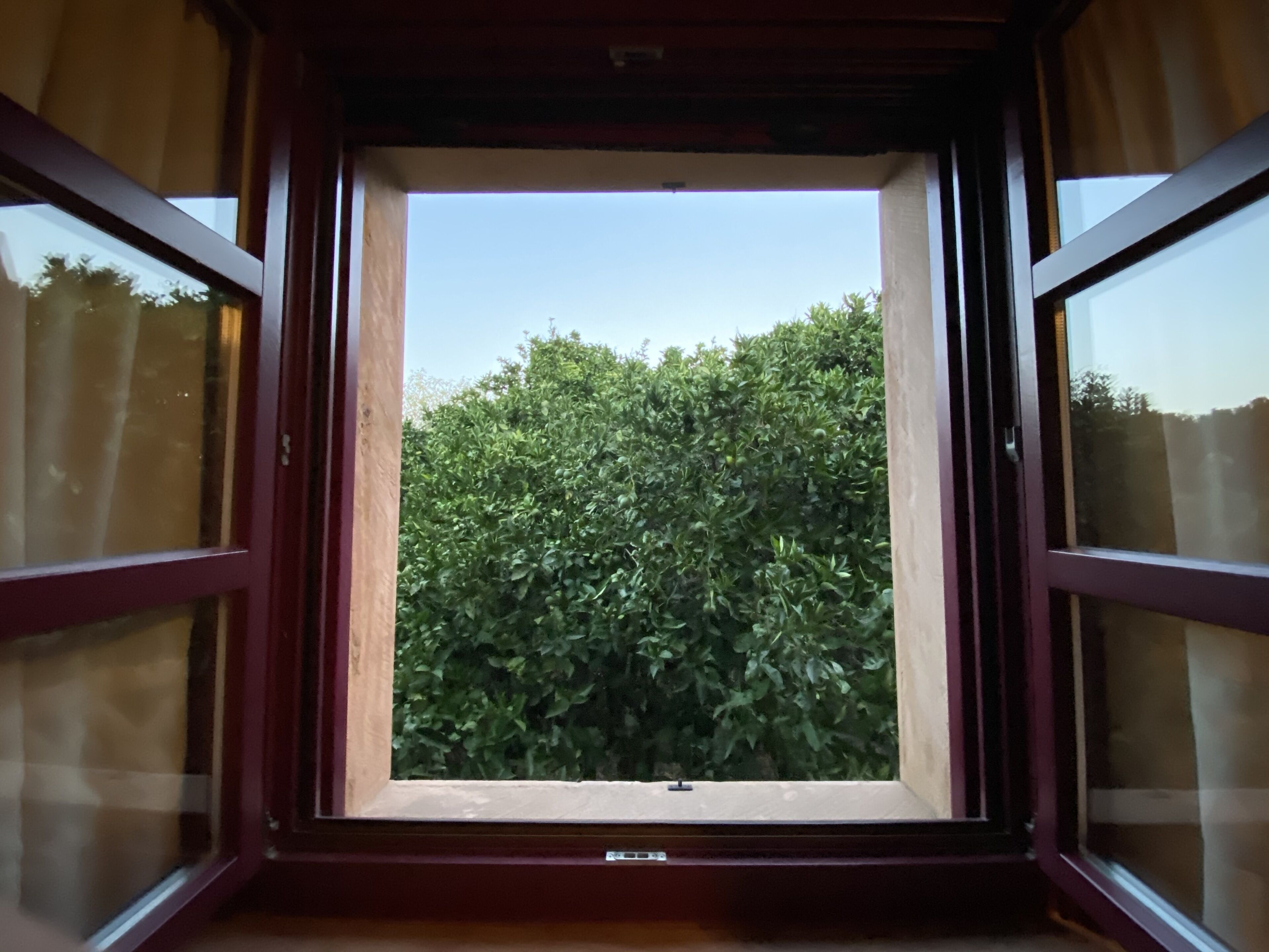 Una ventana con vistas a un follaje verde y exuberante.