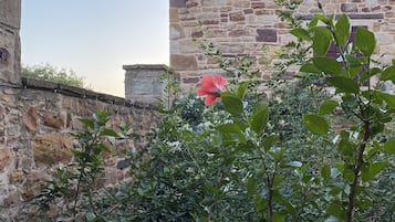 Um edifício de pedra com telhado de telhas e um pequeno jardim com folhagem verde e uma flor rosa.