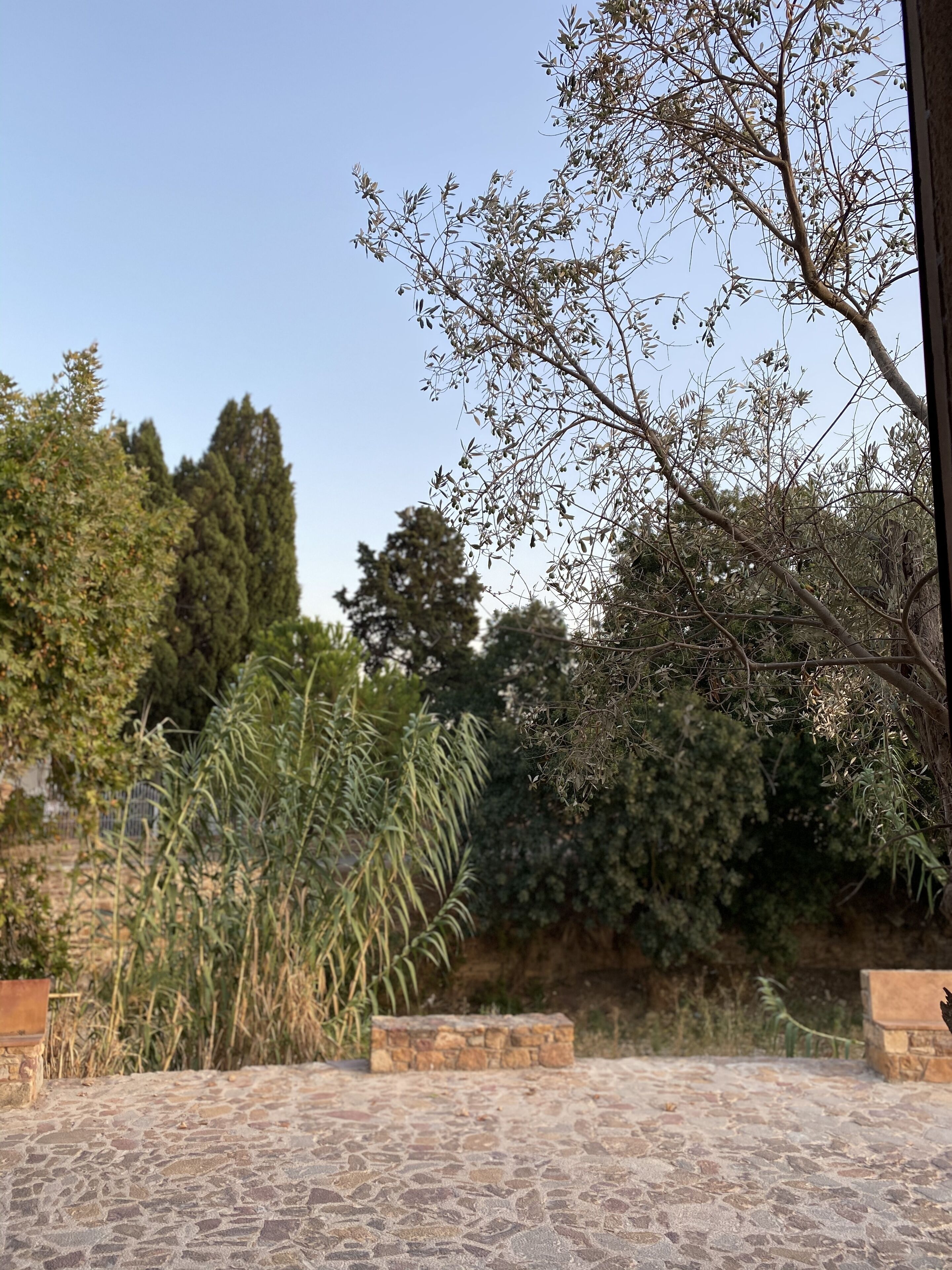 A stone patio with a view of a garden and trees.