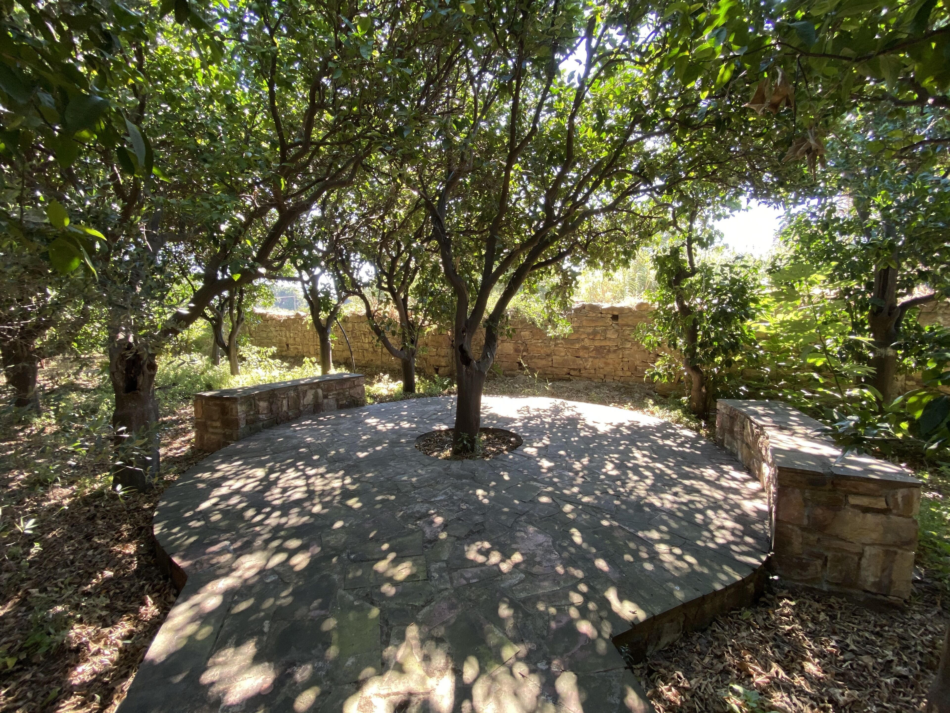 A stone patio surrounded by trees in a garden setting.