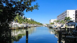 Un puerto deportivo con barcos amarrados a lo largo de una vía fluvial tranquila, rodeado de edificios y palmeras.
