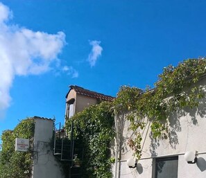 Exterior detail
