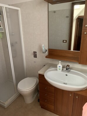 Bathroom features a walk-in shower, toilet, and sink with a mirror above.