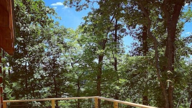 A wooden deck with a metal railing, surrounded by trees. - Persimmon - Hand hewn private log cabin with views (Logan)