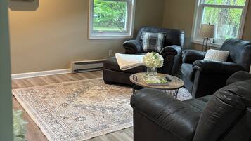 Smart TV, fireplace, books