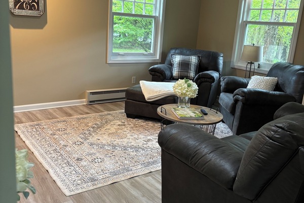 TV connectée, cheminée, livres