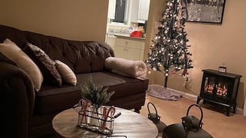Smart TV, fireplace, books
