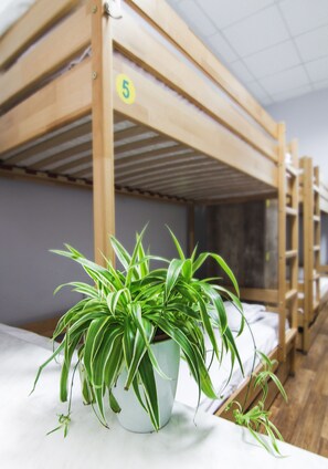 Hypo-allergenic bedding, iron/ironing board, free WiFi, bed sheets
