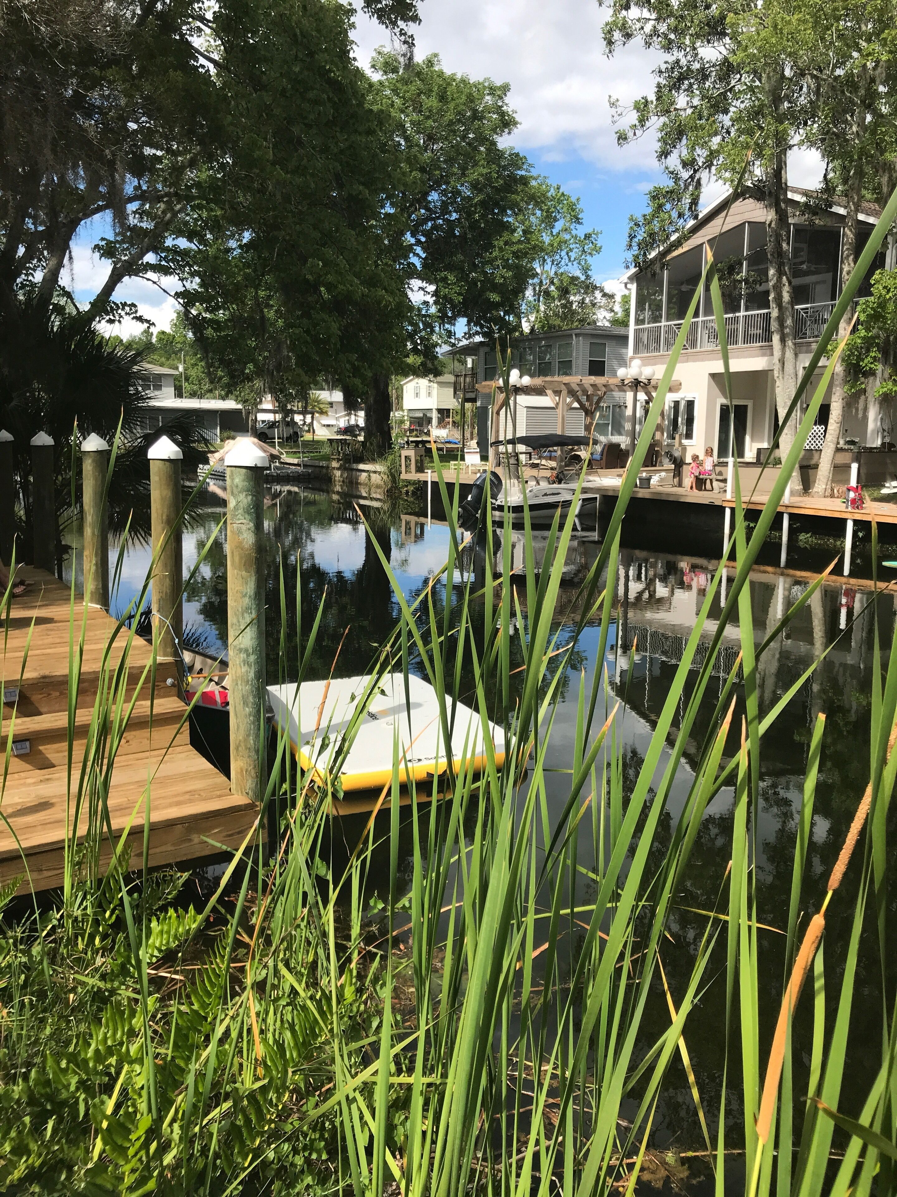 Charminique River House nestled in Weeki Wachee Gardens 