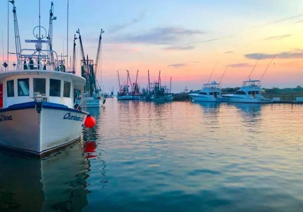 Port de plaisance