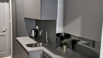 A modern kitchen with grey cabinets, a stainless steel sink, a coffee maker, and a potted plant.