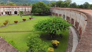 Un patio con un árbol grande, una fuente y un edificio con ventanales arqueados.