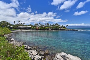 Enjoy breathtaking ocean views from this tropical retreat surrounded by lush greenery and palm trees.