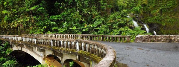 A stone bridge with a curved railing, surrounded by lush greenery and a waterfall in the background. - Napili Point C40 Beautiful OceanFront 2BD Superb Ocean View AC Pool (Lahaina)