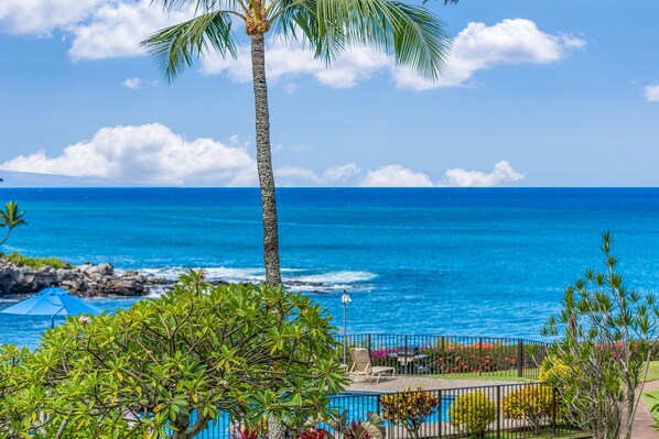 Relax by the ocean with a serene beachfront setting, lush garden, and clear ocean views.