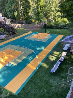 Sport court - Upscale Modern Private Cottage (Kirkland)