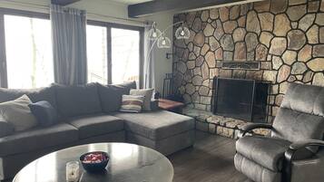 Smart TV, fireplace, books