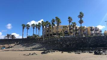 Un hôtel situé en bord de mer, doté d’un mur de soutènement en pierre, de palmiers et surplombant un ciel d’un bleu éclatant.