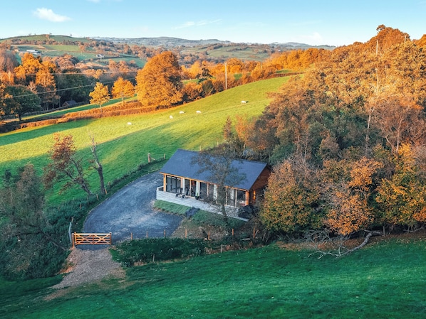A secluded cabin with a porch and a view of a green field and trees.